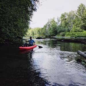 Wynoochee River Cabin