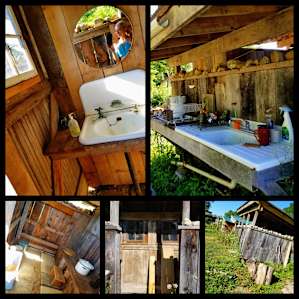 Shiitake Mushroom Camp