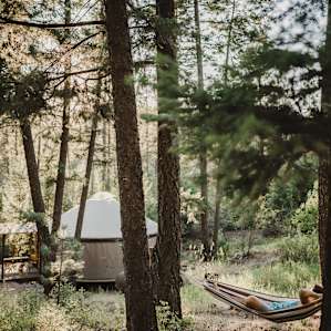The hammock above the yurt.