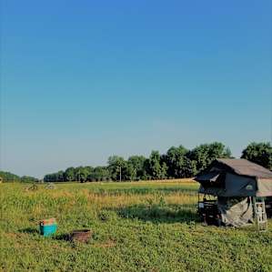 Rustic Camping near the Susquehanna