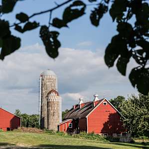One of the barns on the land