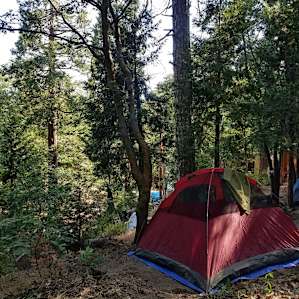 Peaceful setting
