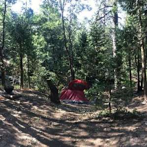 Kane and Malia have a little vegetable farm going right behind your tent!