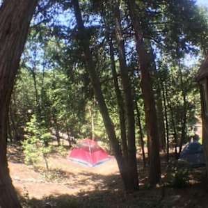 Madcap Camping