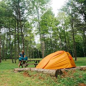tent forest people