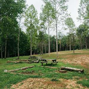 This place is perfect for big groups because everyone could have their own site, but with loads of land to have big group activities