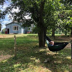 Relaxing for an afternoon