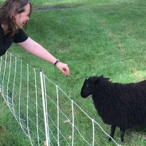 "Black Sheep" was the most gregarious of the three.