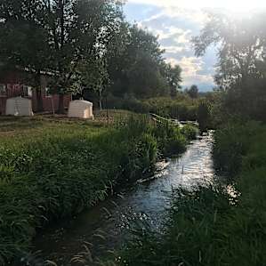 Beautiful creek running through the property