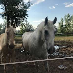 Some of the residents :)