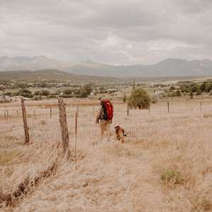 The walk through the field to the campsite is quite dreamy.