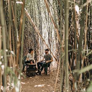 Bamboo grove was a perfect place for breakfast and to escape from the July sun. Probably 10 degrees cooler inside than out!