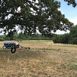 Boss Mare Ranch and Horse Park