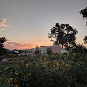 Flower Farm, Rocky Mnt Views!