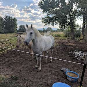 M & M Equestrian Center