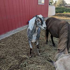 M & M Equestrian Center