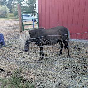 M & M Equestrian Center