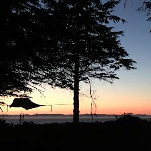 Breathtaking Tree Tent