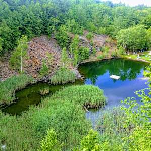 Camp at Quarry Brook