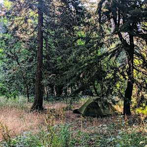 Our shady tent spot