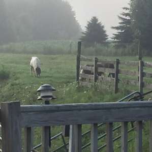 Our view from bunkhouse window