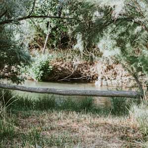Bench at Campsite 1