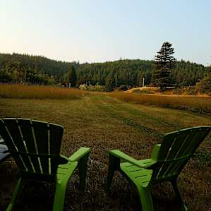 View of the meadow. So peaceful.