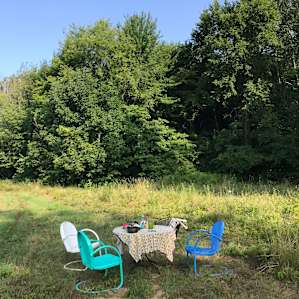 Moss Funnel Farms (Joe's Blues)