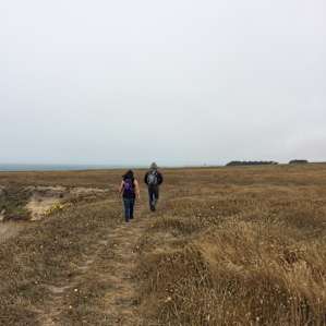 Hiking along point arena coast line