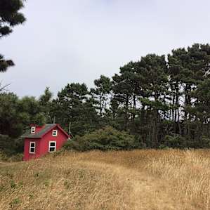 Red cabin!