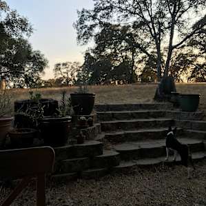 Cabin 2 at Oaks & Stream