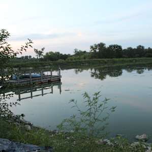 Another view from the swing