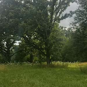 Oak Savannah Fields