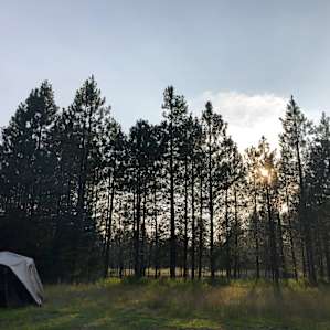 Meadow at Tamarack Grove