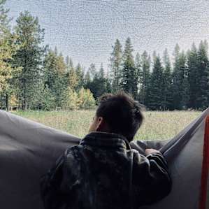 Watching the deer