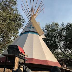 View of the Tipi from the hammock!