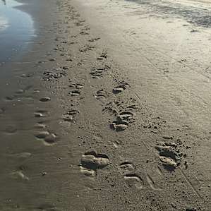 Only horse tracks at certain times, so private!