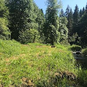 Nature Camp