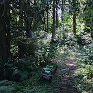 Nature Camp