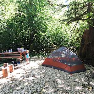 Home sweet campsite! There is a deep firepit with a stack of wood, in case you feel like having a fire to go with the stargazing.