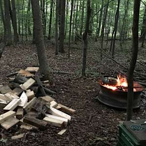 Catskill Woodland Retreat.