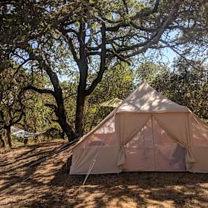 The lovely tent