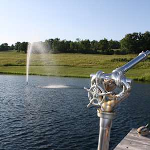 The watercannon on the dock. It's fun to spray!