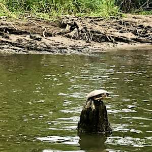 Kankakee River Cabin