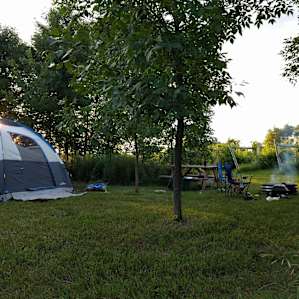 Prairie Woods Farm Vineyard Camp