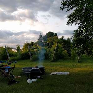 Prairie Woods Farm Vineyard Camp