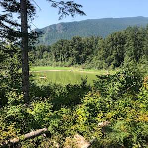 Top of property adventure