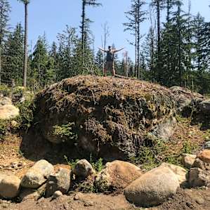 Rock on top of property