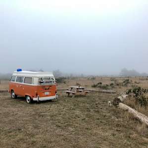 Welcome to Misty Mountain