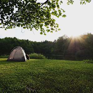 There are a couple different fire pits one could build a camp around. One of them happens to be in a perfect spot by the pond